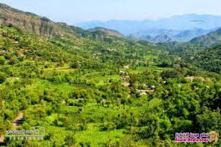 ‏قتلى وجرحى إثر مداهمه مسلحة لحوثيين في أحد مساجد إب