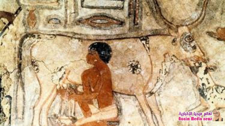 كيف تطور الإنسان وأصبح بإمكانه تناول حليب البقر؟