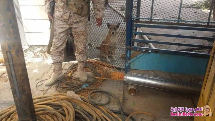 الوكيل جامل يلتقي مسؤولي المياه ويزور عدد من الآبار المتوقفة ويوجه بإعادة تشغيلها