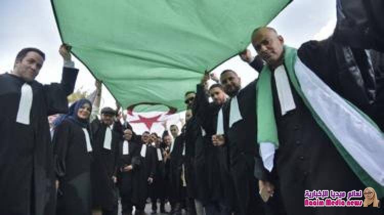 الانتخابات الرئاسية الجزائرية: قضاة يرفضون الإشراف عليها إذا ترشح بوتفليقة