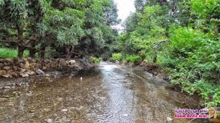 تمكن أبطال الجيش الوطني المرابطون في جبهة الضباب من صد هجوم عنيف لميشيات الحوثي الإنقلابية على منطقة الصياحي جنوب غرب المدينة 