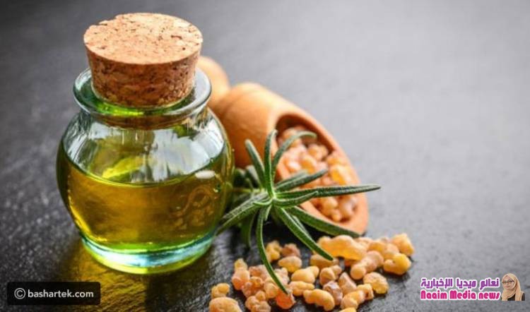 فوائد دكر اللبان للبشرة ووصفاته الطبيعية