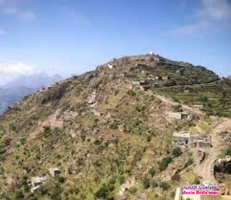 إصابة ثلاث نساء إحداهن في حالة خطيرة جراء قصف مليشيا الحوثي قرية الخلل جنوب مدينة تعز