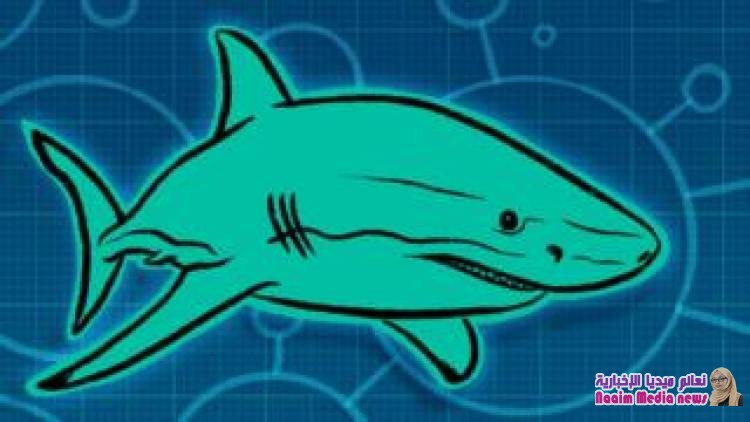 جلود أسماك القرش تُلهم باحثين للتصدي للبكتيريا