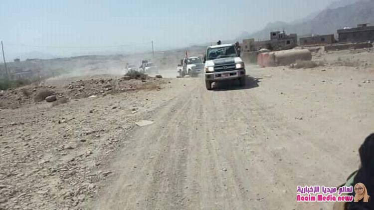 حزام الضالع....يواصل حملاته الأمنية لملاحقة العناصر المتحوثة بالمحافظة