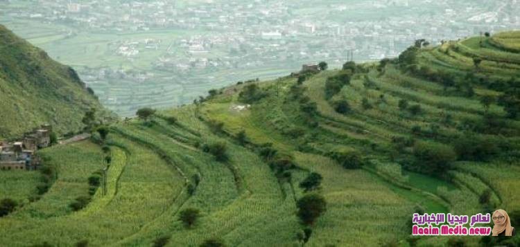 قوات الجنوب تنتصر على الحوثي