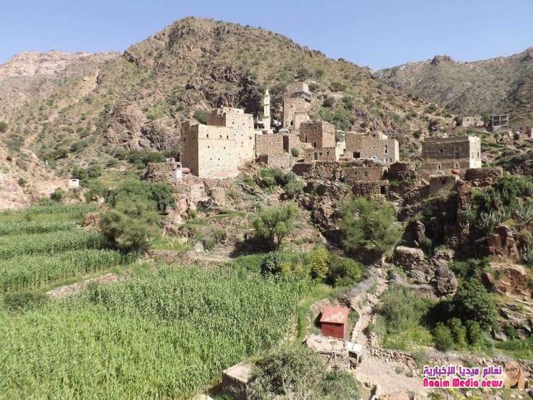 واصلو مسيركم ابطال مقاومتنا الجنوبية ... 