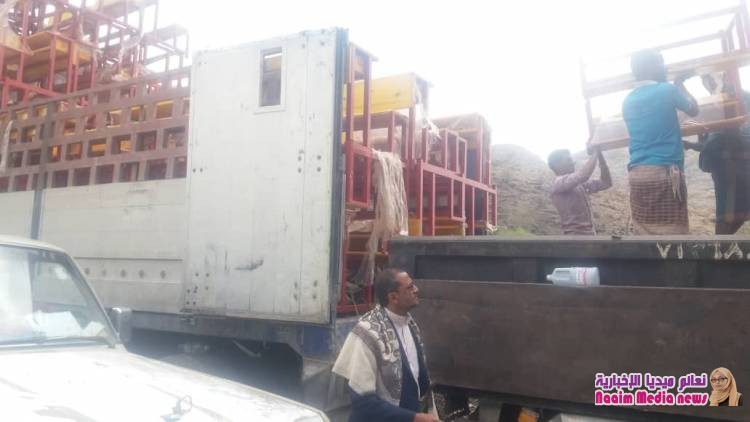 توزيع 800كرسي لعدد من مدارس جبل حبشي