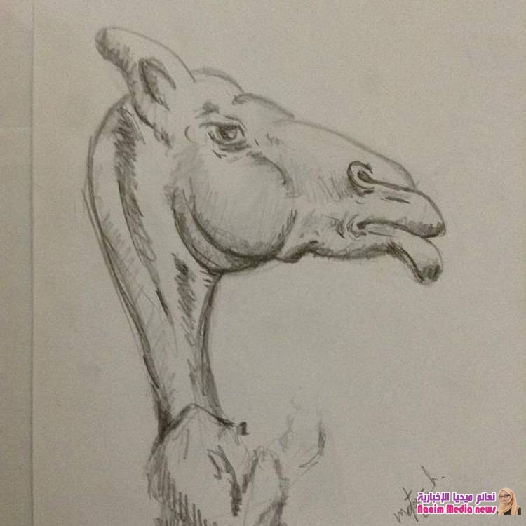 حلوه اقراها بتمعن