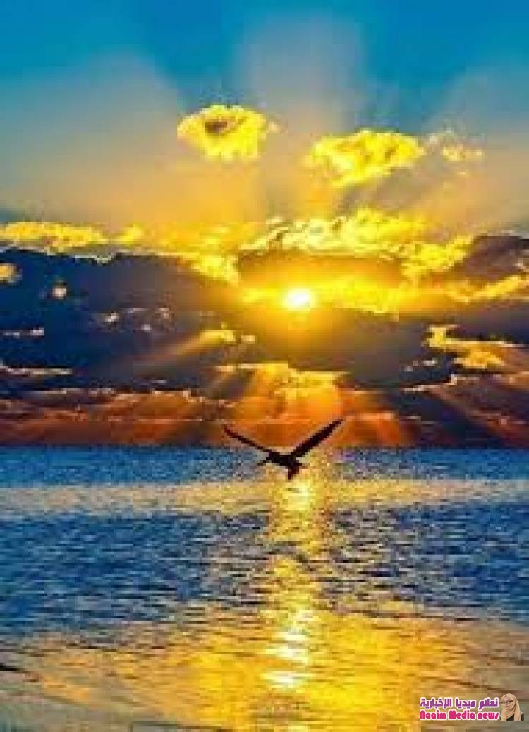 ☆ نسمة ،♡، مسائية