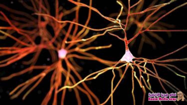 تشخيص نوع جديد من الخرف له نفس أعراض ألزهايمر