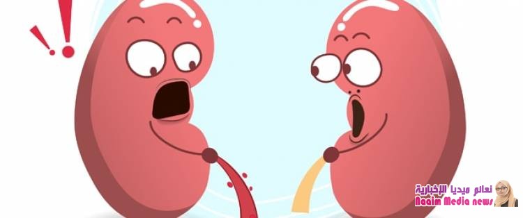 أسوأ الأطعمة للكلى: أعرفها وتجنبها