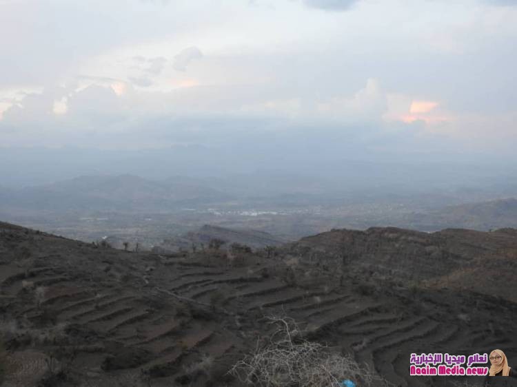 مدير عام المديرية وأركان حرب اللواء17مشاة وقائد جبهة الضباب يتفقدان مواقع الجيش الوطني في الخطوط الأمامية غرب المدينة