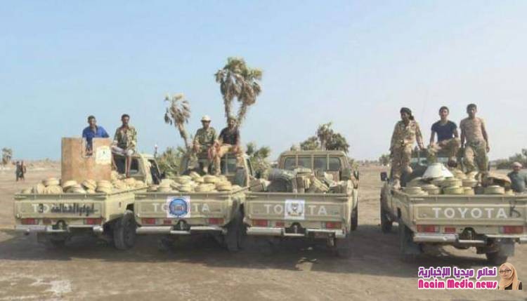 سيناتور أمريكي يطالب بلاده بالتصدي لكارثة الألغام الحوثية