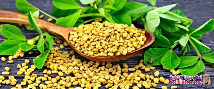 الحلبة لزيادة الوزن: هذه هي الحقيقة