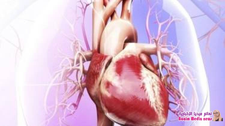 لماذا يموت كثير من الناس من موجات الحرارة المرتفعة؟