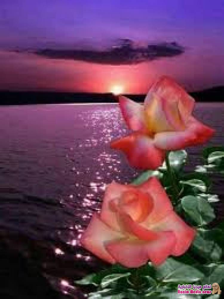 *☆ نسمة ،♡، مسائية ☆*