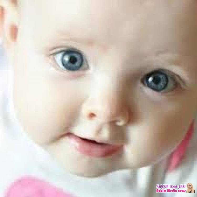 منوعات جميلة جدا