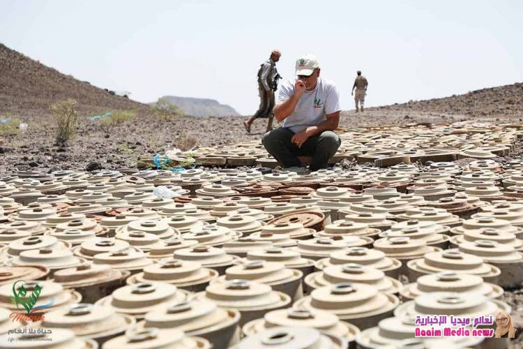 "مسام" يكشف انتزاع 900 لغم زرعها الحوثيون في مناطق مختلفة في اليمن