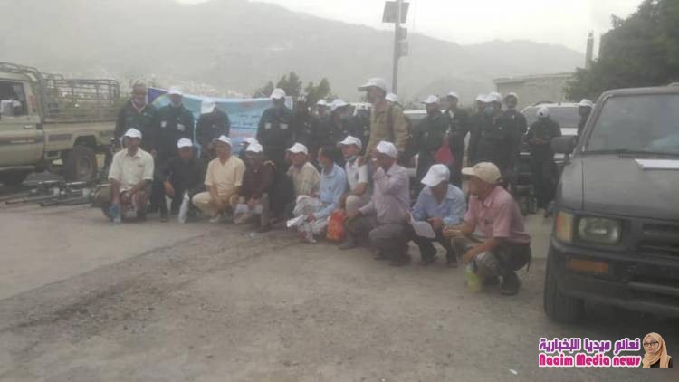 مكتب الصحة في تعز يدشن الجولة الثانية لحملة الرش الضبابي لمكافحة حمى الضنك