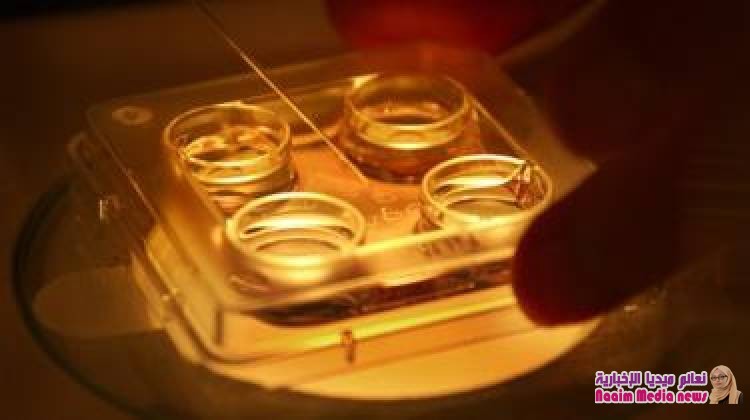 تجميد البويضات: فرصة لممارسة الأمومة في عمر متقدم