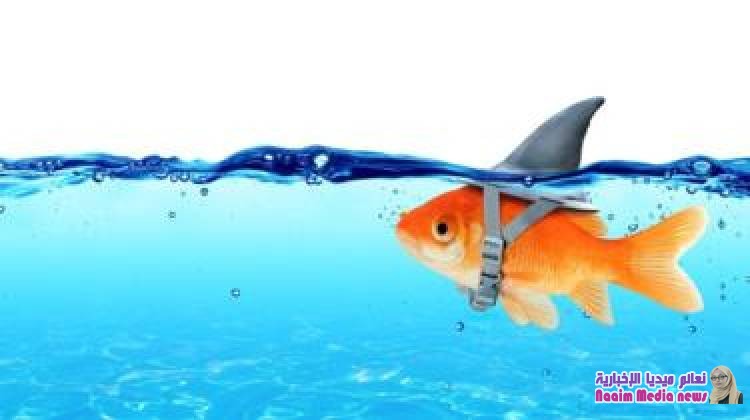 كيف تعرف أن الشخص الذي أمامك كاذب؟