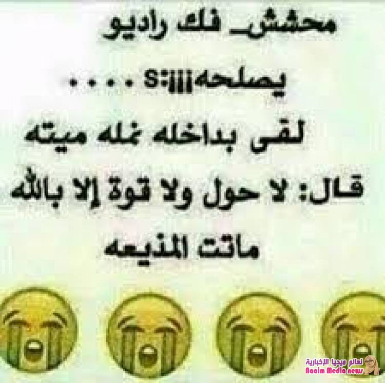 يلى رفه عن نفسك شوي