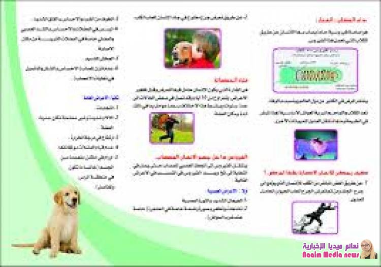 تصاعد الاصابة بداء الكلب