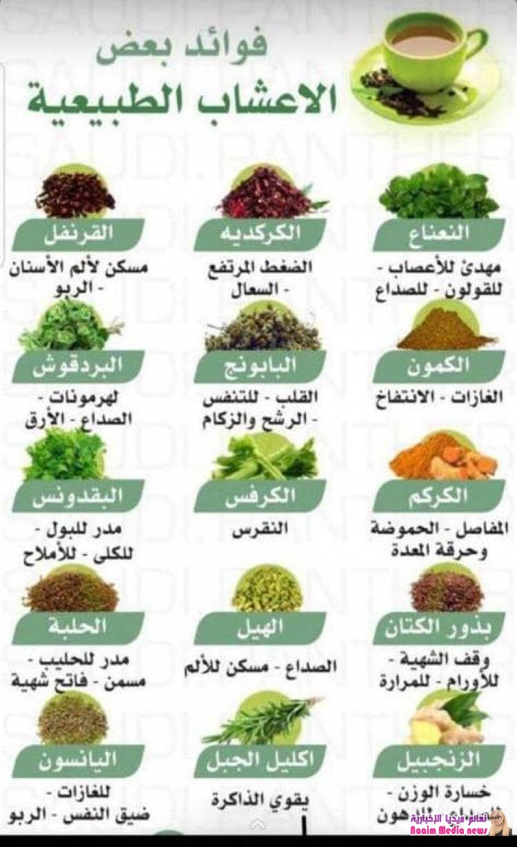 معلومات مهمه