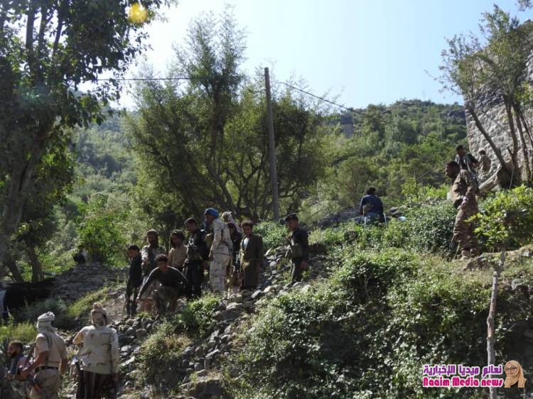 *حملة أمنية تضبط عدداً من المطلوبين أمنياً بمديرية جبل حبشي*.