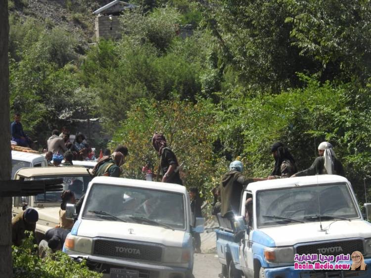 *حملة أمنية تضبط عدداً من المطلوبين أمنياً بمديرية جبل حبشي*.