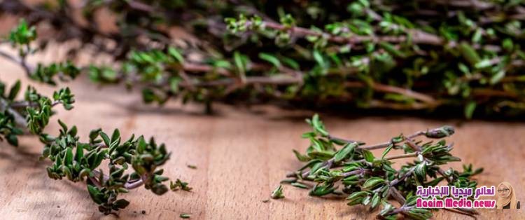 أهم فوائد الزعتر الجاف
