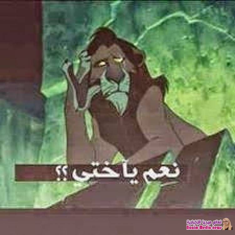 اضحكوا وانسو السياسة ووجع القلب ????