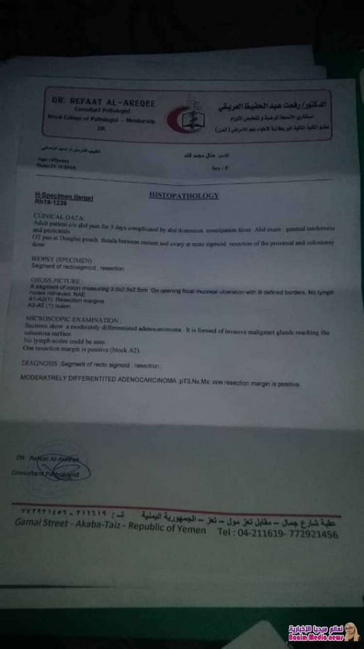 الى القلوب الرحيمة