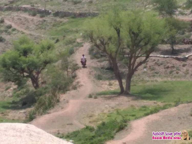 قرار منع بيع القات في تعز