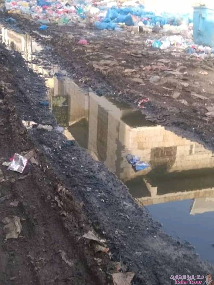 التربه تناشد الحكومة والمجتمع الدولى