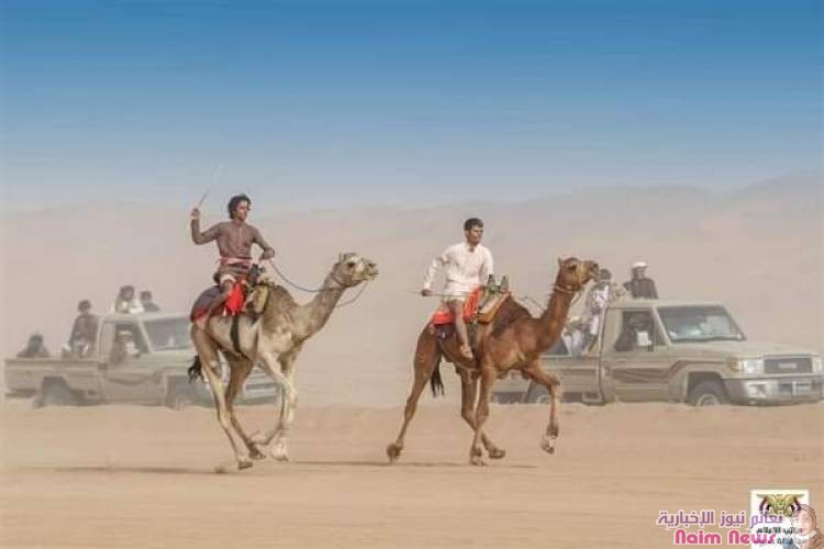 اختتمت بمديرية عسيلان في محافظة شبوة مساء اليوم، فعاليات مهرجان التراث والموروث الشعبي السادس