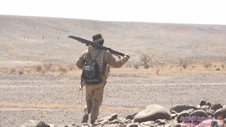 قوات الجيش تكسر هجوماً حوثيًا في جبهة صرواح وتنصب كميناً لمجاميع حوثية في المخدرة