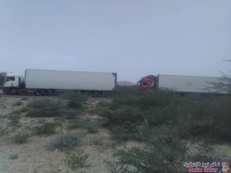 بالصور : أهالي مودية يمنعون تصدير اسماك عدن وابين إلى السعودية وسلطنة عٌمان*