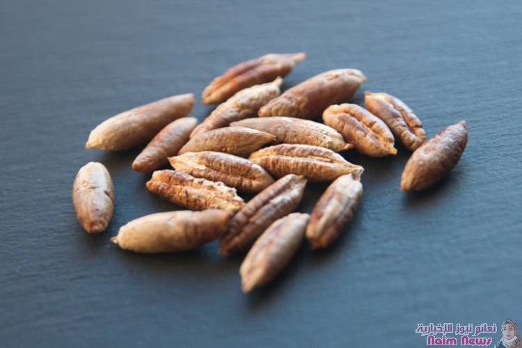 إياك ورميها.. نواة التمر كنز بين يديك