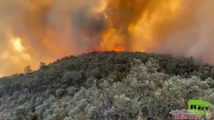 السيطرة عل حريق غابة مغراوة بإقليم تازة المغربي بنسبة 90% والمساحة المتضررة 790 هكتارا (فيديو)