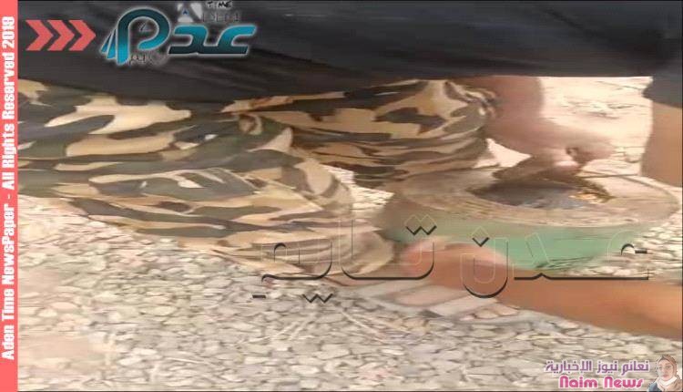 الأجهزة الأمنية تفكك عبوات ناسفة في لحج