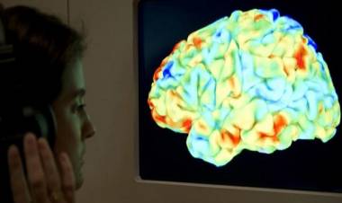 اكتشاف مصدر جديد للألم في الدماغ 