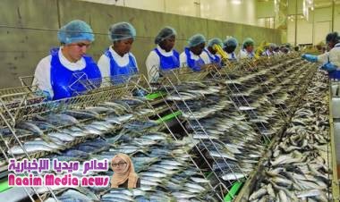 شركة فرنسية لتعليب السردين تختار العيون لافتتاح مصنع جديد