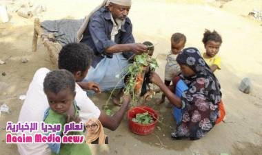 اللجوء الا أكل الشجر بسبب الظروف المعيشية الصعب في حجه 
