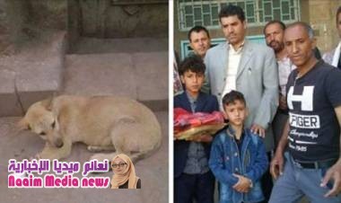  طفل يمني يضمد جراح كلب دهسته سيارة عابرة!