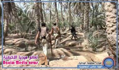 حراس الجمهورية يمشطون 7كم من مزارع النخيل جنوب بيت الفقيه بالحديدة