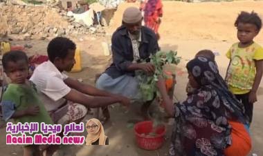 بعد عرض مأساتها في قناة دولية.. المجاعة تفتك بطفلة في حجة أسرتها تقتات علی "أوراق الشجر"
