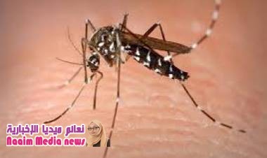 انتشار مرض حمى الضنك و وباء الكوليرا  