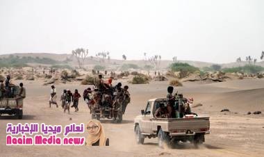 مقتل وإصابة 29 حوثياً بعملية نوعية في مدينة الحديدة